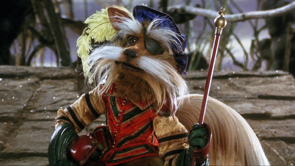 Sir Didymus is a dapper fox terrier who wears an eyepatch, knight's blue cap, a red embroidered doublet and green gloves. He holds a gold-topped cane.